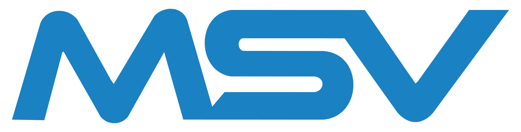 Grupo MSV